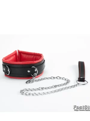 Red collar and leash Povodac sa Oglicom
